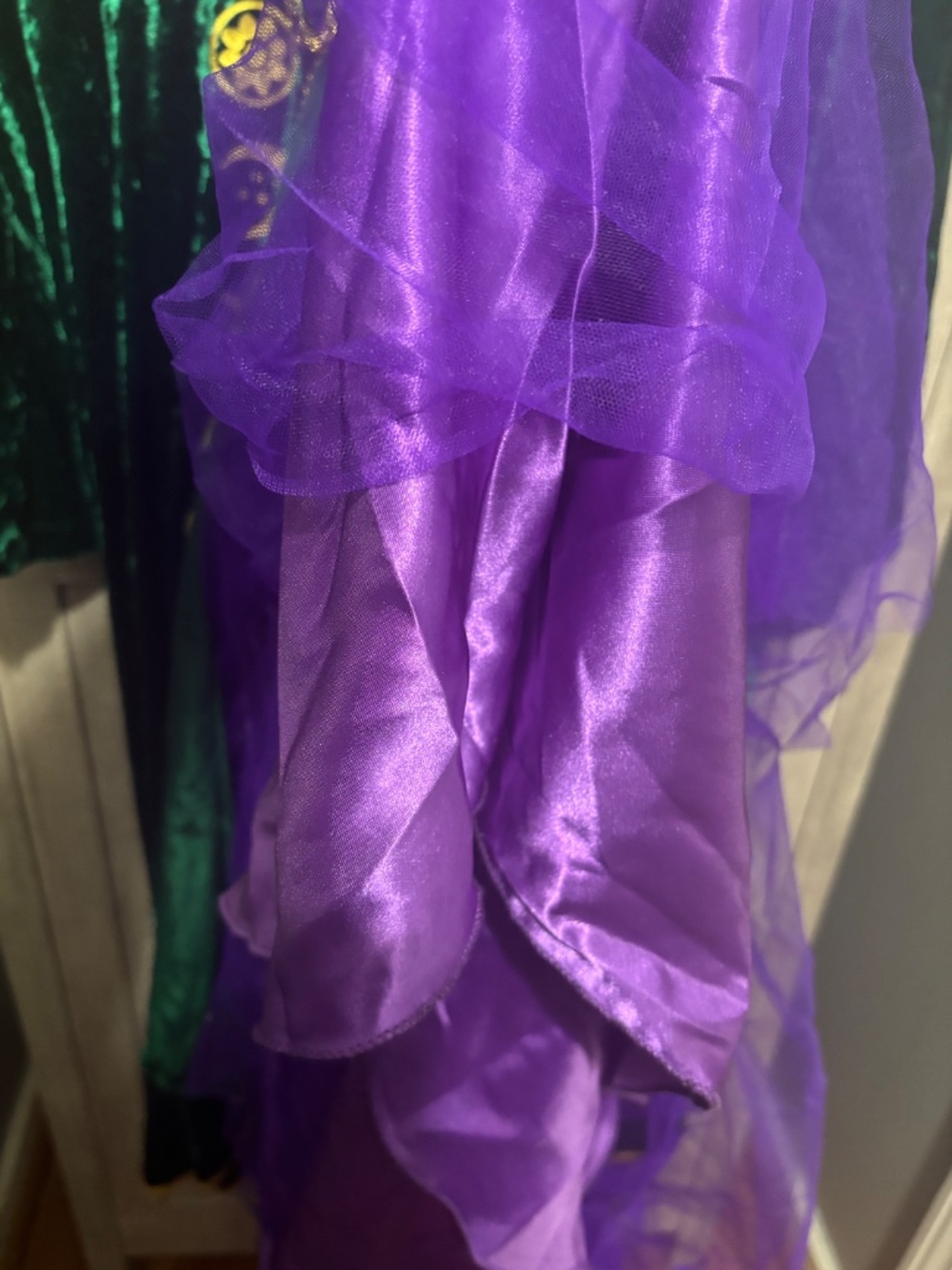 Hocus Pocus, Royalty, Renaissance Halloween Dress Costume XXL women - Picture 7 of 10